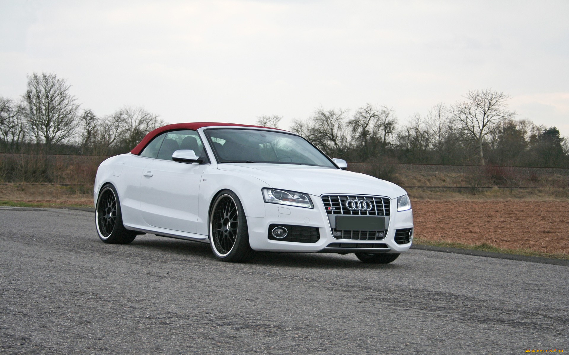 audi, 